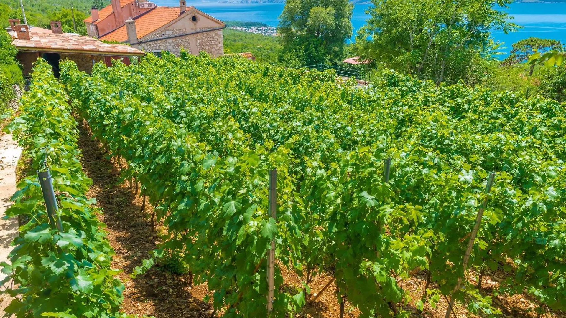 Ferienhaus Villa Vesna In Crikvenica 0*,  Croatia