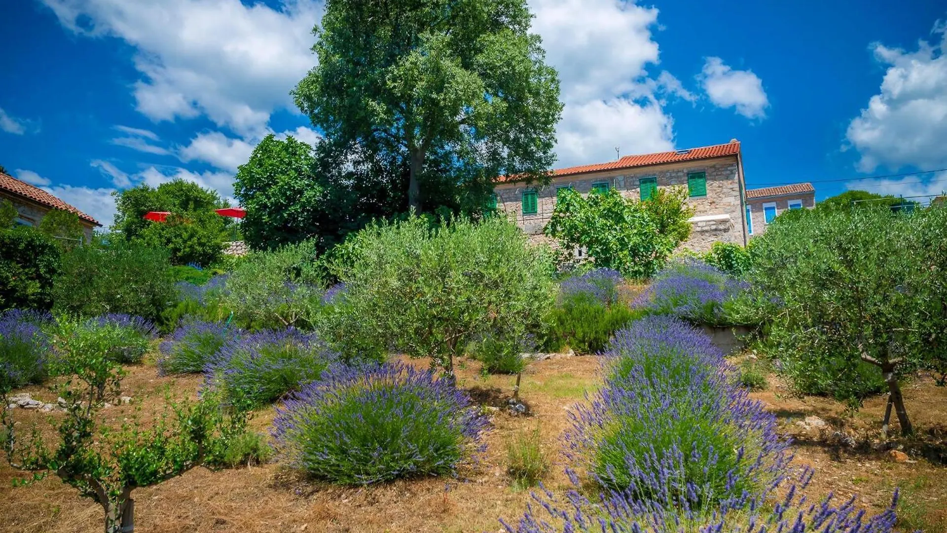 Ferienhaus Villa Vesna In Crikvenica